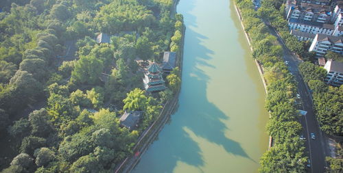 成都世园会赏花流量带动新场景消费