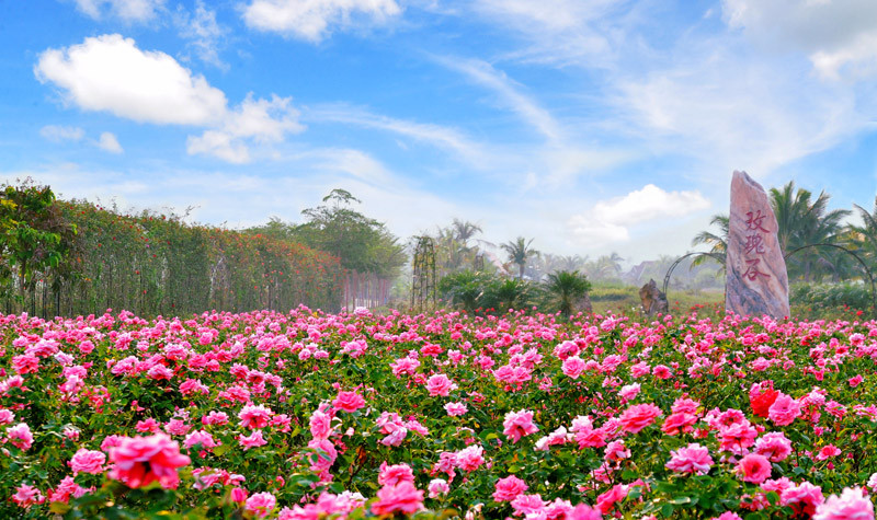 9月份去宁夏旅游穿什么衣服