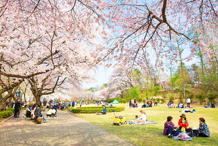 北京旅游景区