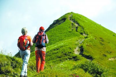 景区旅游观光车是谁负责审批(景区旅游观光车租赁)