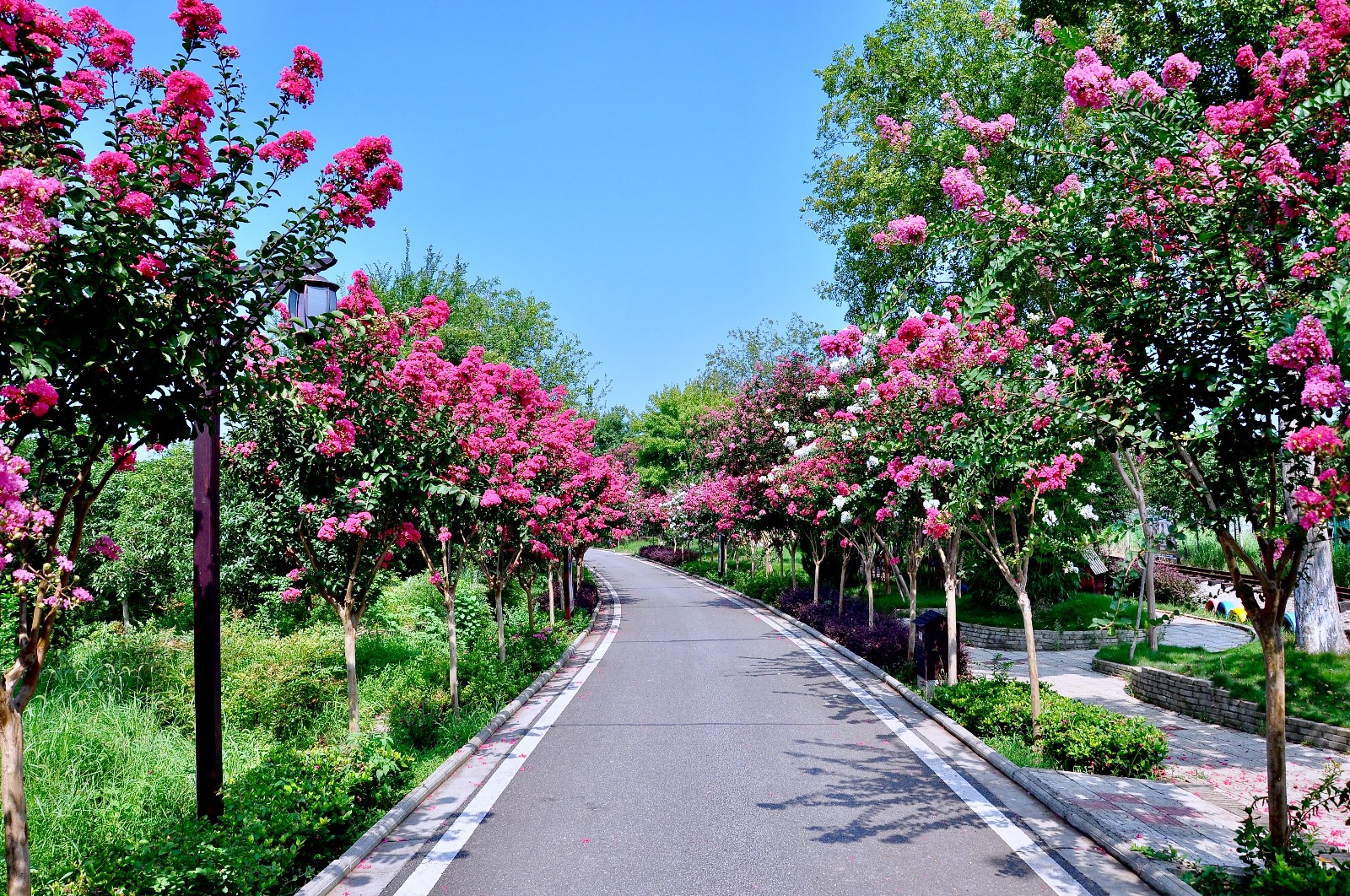 慈利阳和杨家坪旅游(慈溪到绍兴旅游)